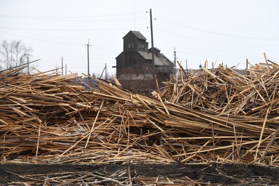 Деревня Аполлоновка в Омской области