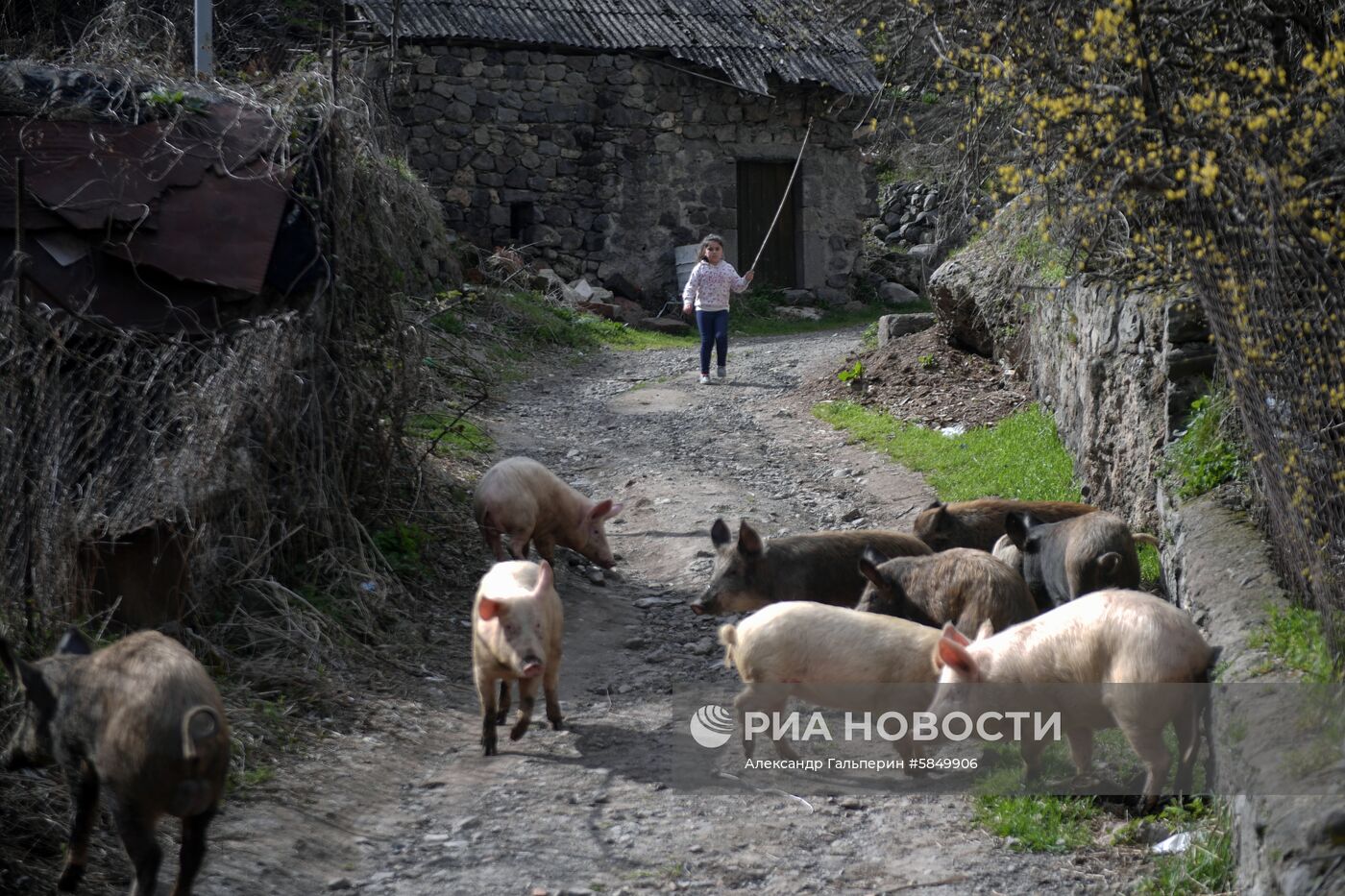 Страны мира. Армения