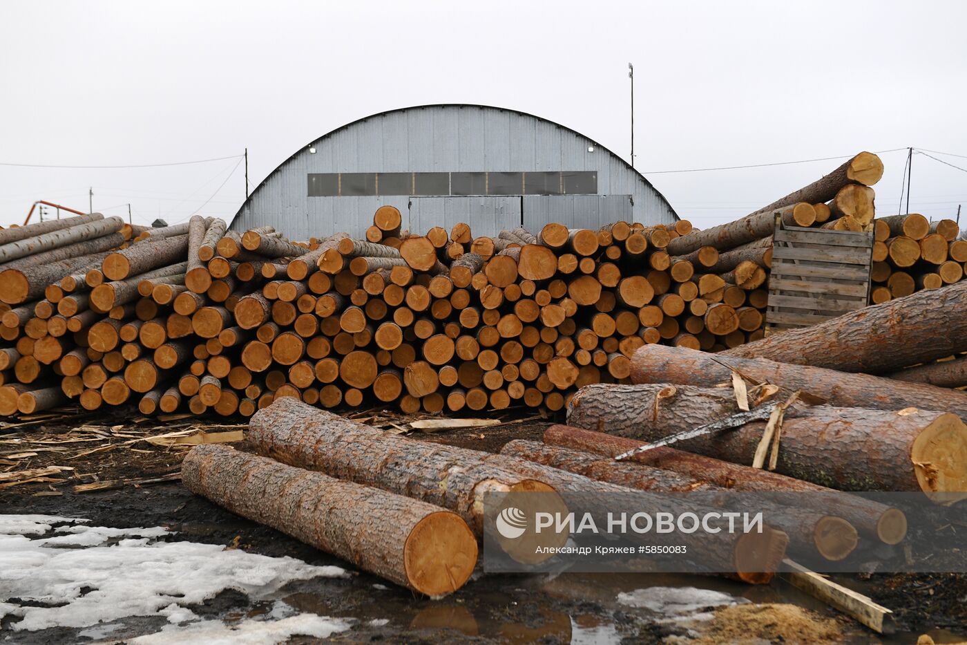 Деревня Аполлоновка в Омской области