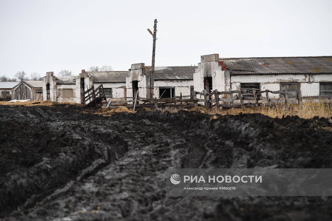 Деревня Аполлоновка в Омской области