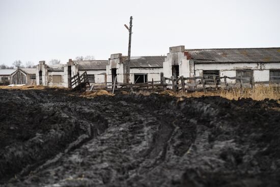 Деревня Аполлоновка в Омской области