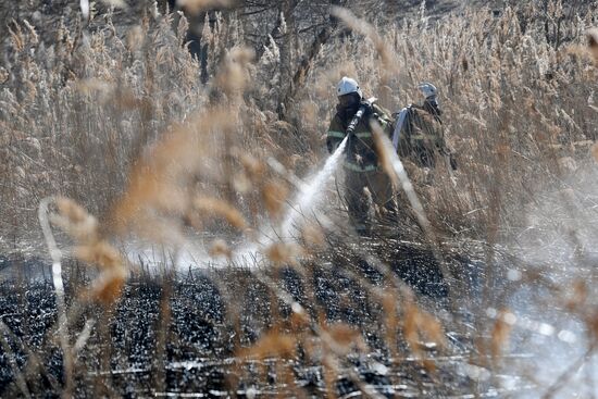 Учения МЧС в регионах России