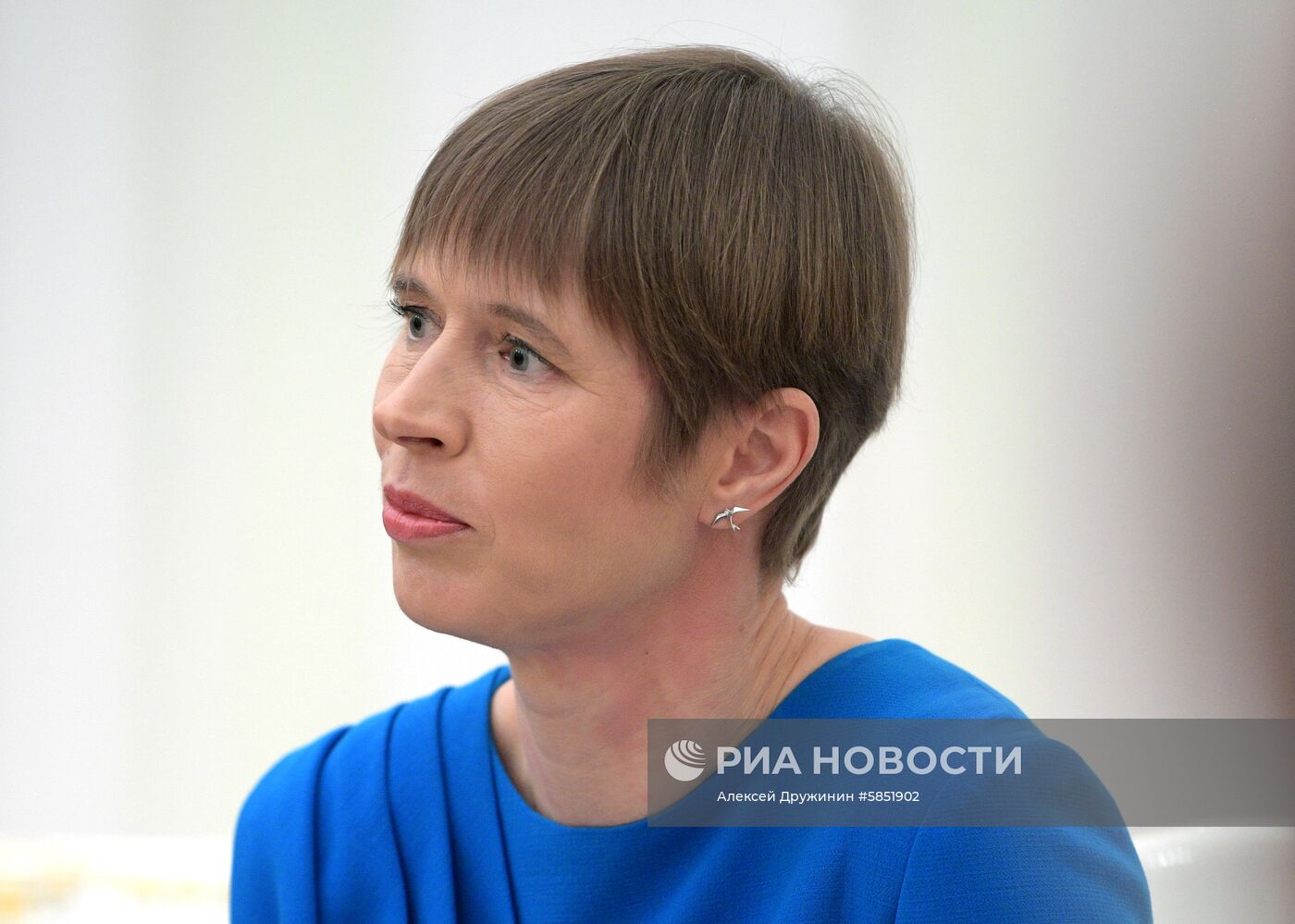 Президент РФ В. Путин встретился с президентом Эстонии К. Кальюлайд