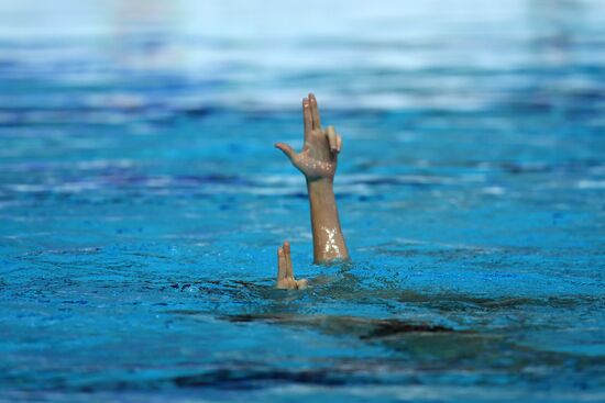 Синхронное плавание. Третий этап Мировой серии. Смешанный дуэт. Техническая программа