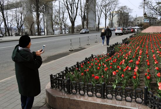 Весна во Владивостоке