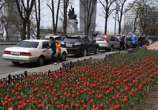 Весна во Владивостоке