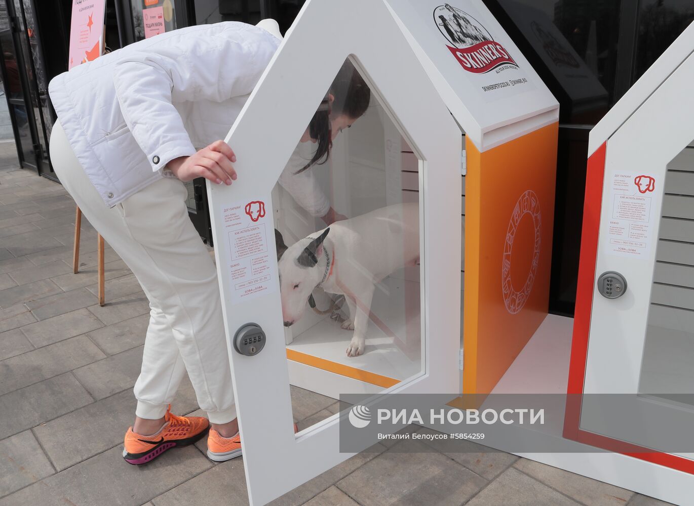 Первый в России дог-паркинг открылся на Даниловском рынке в Москве
