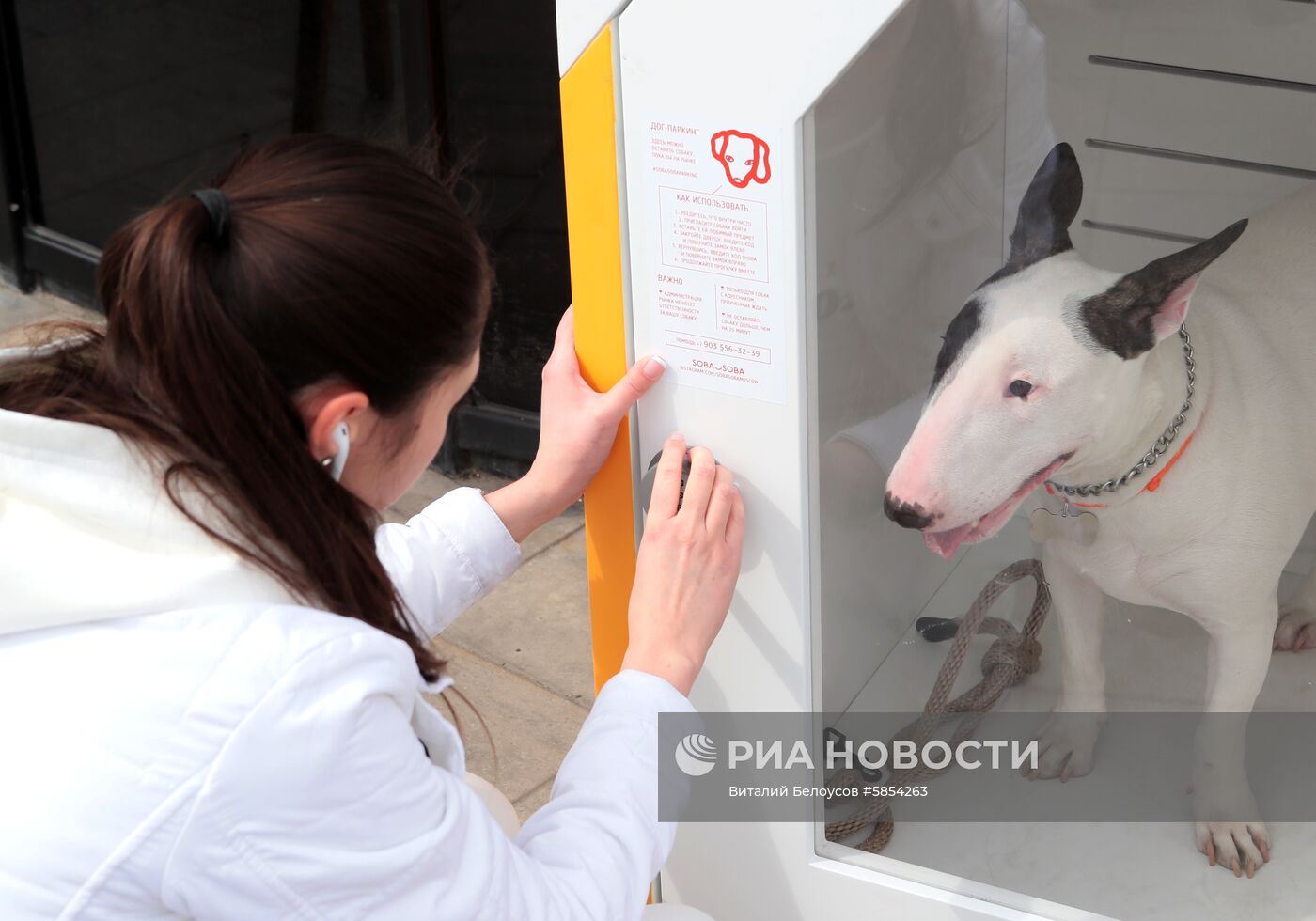 Первый в России дог-паркинг открылся на Даниловском рынке в Москве