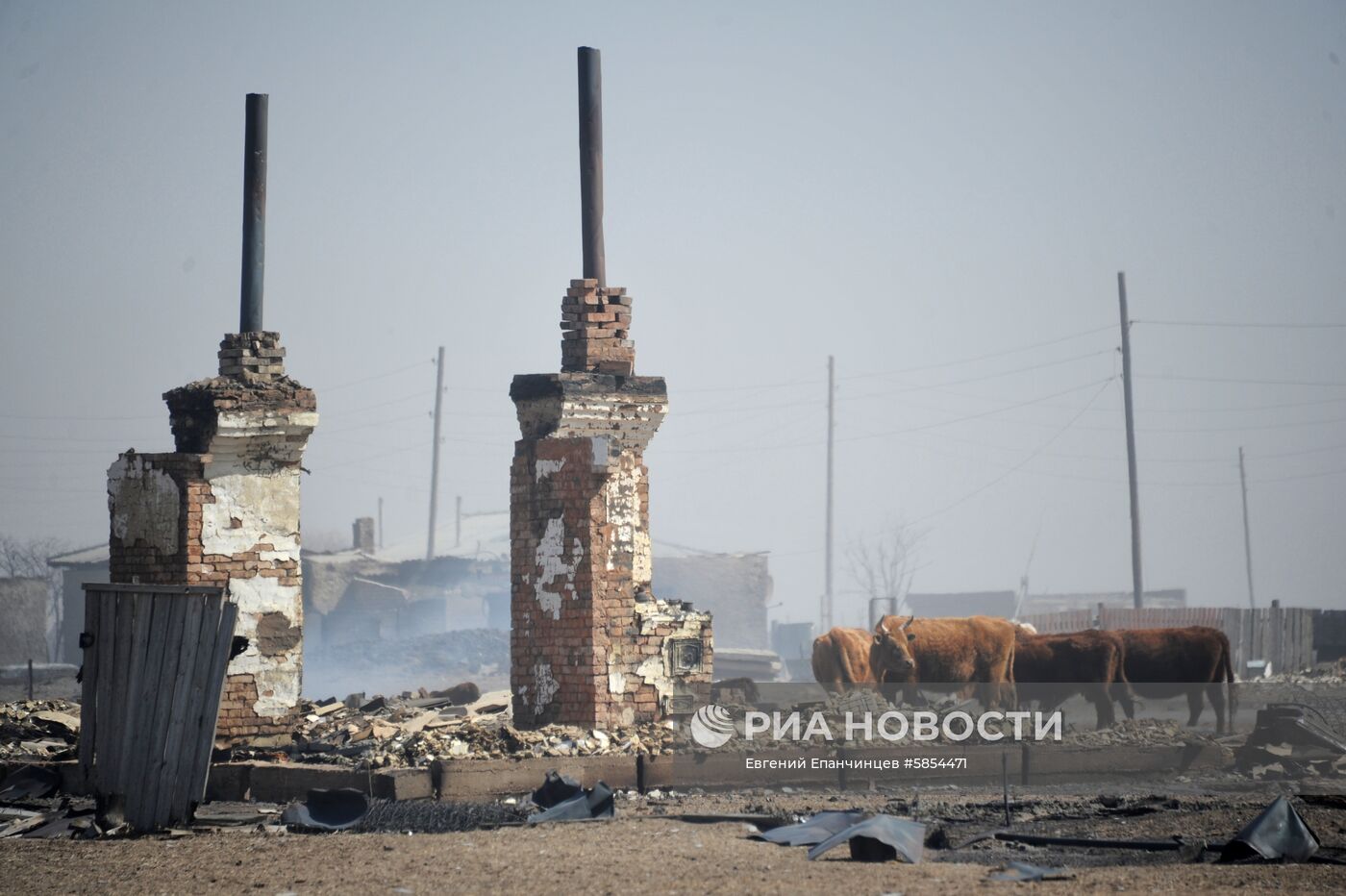Последствия пожаров в Забайкальском крае