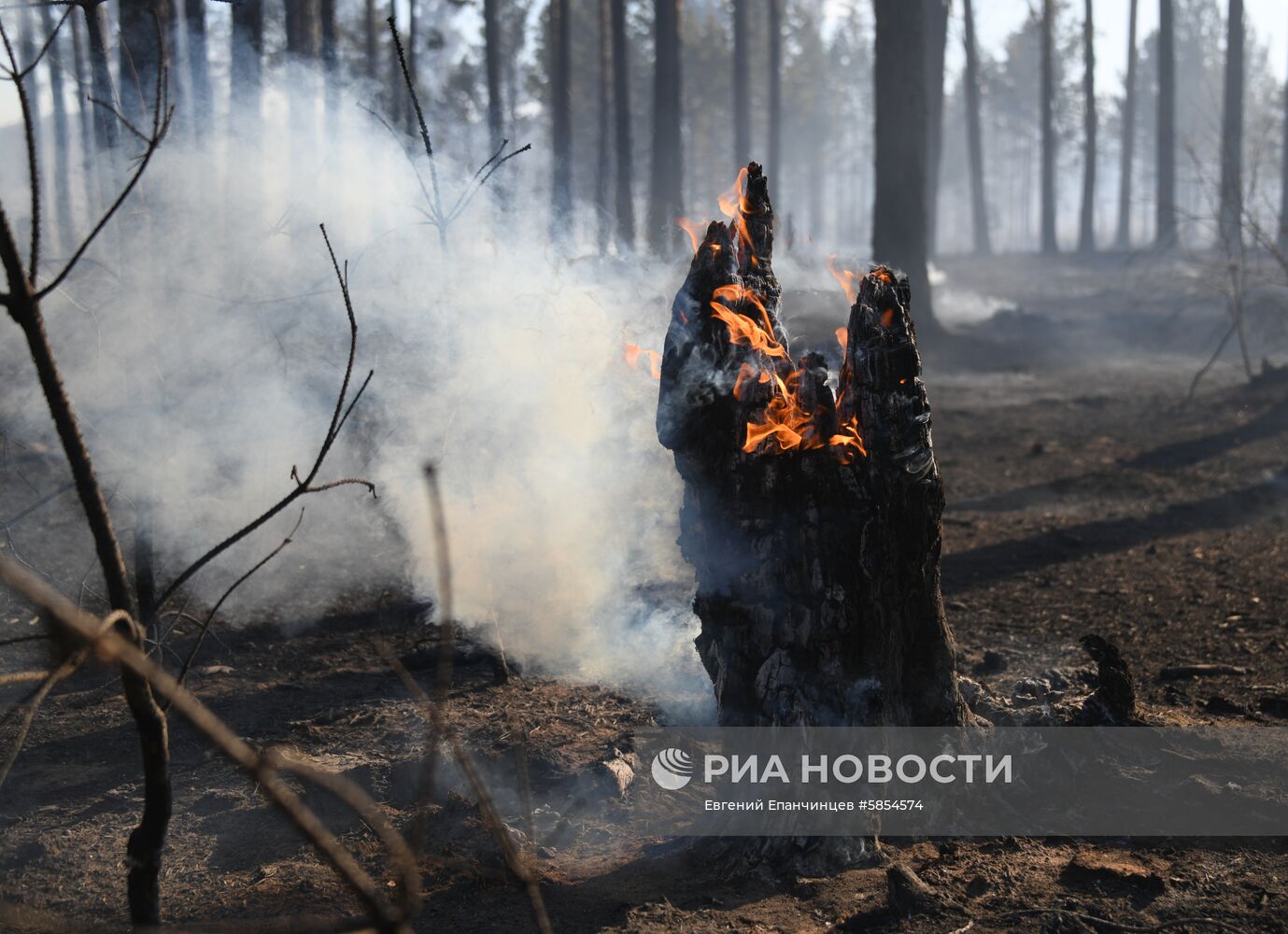 Пожары в Забайкальском крае