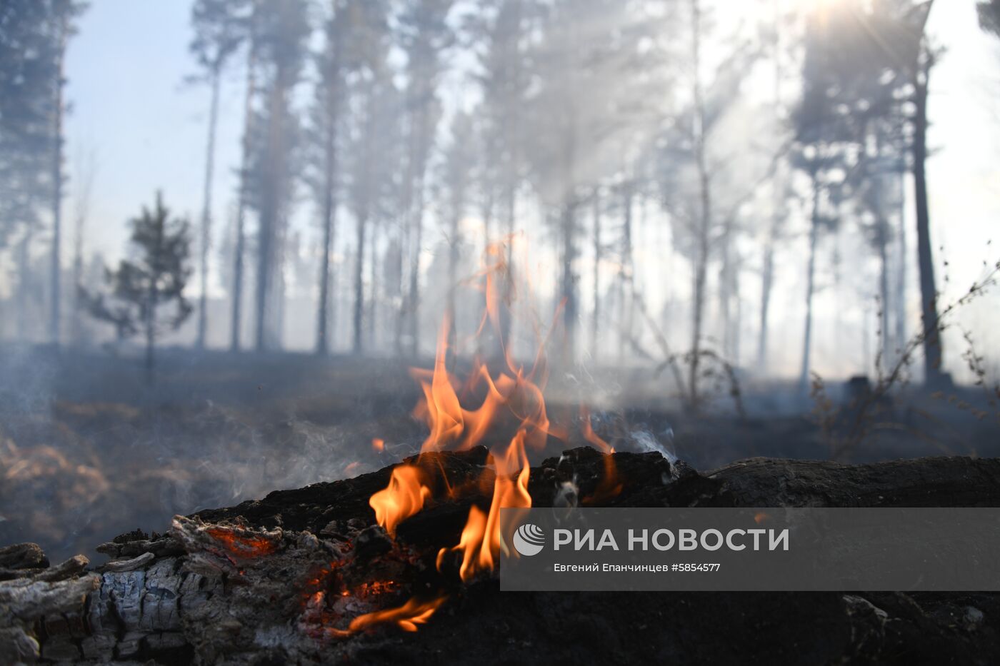 Пожары в Забайкальском крае