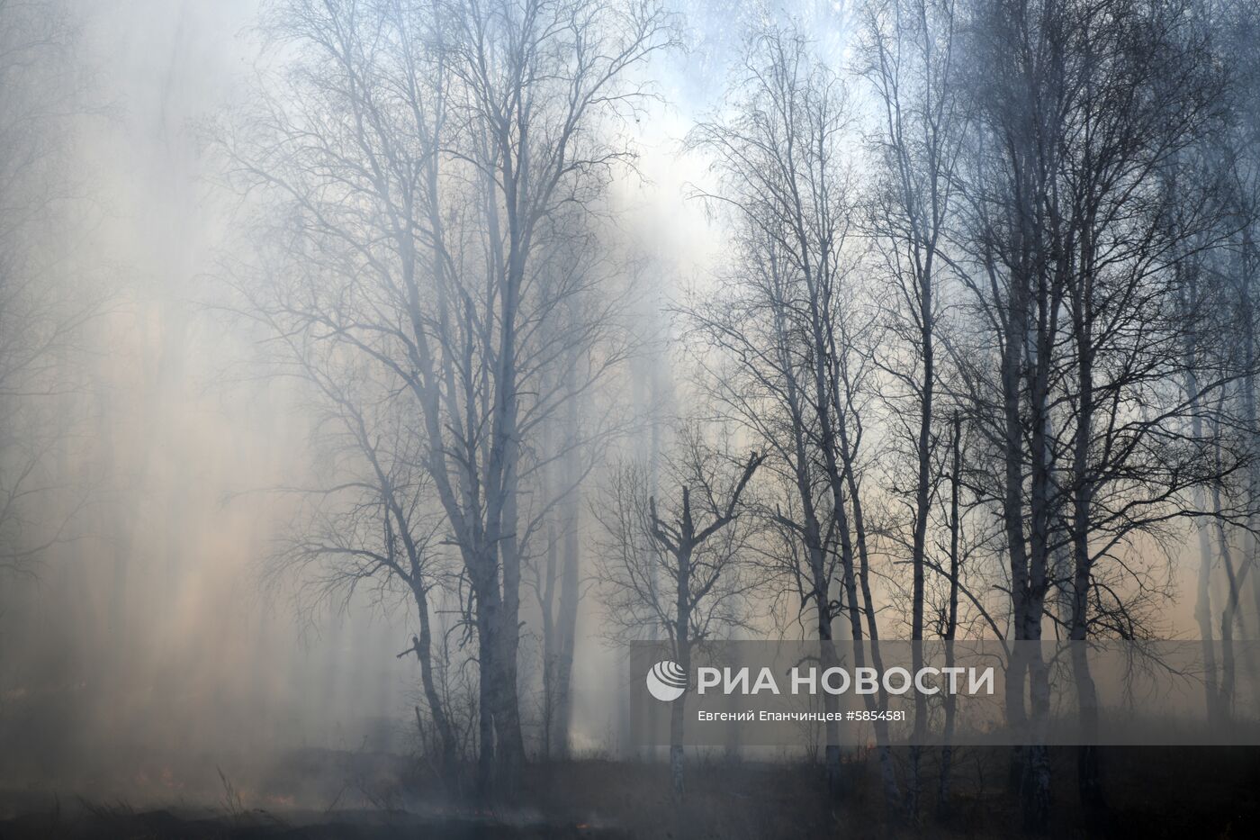 Пожары в Забайкальском крае