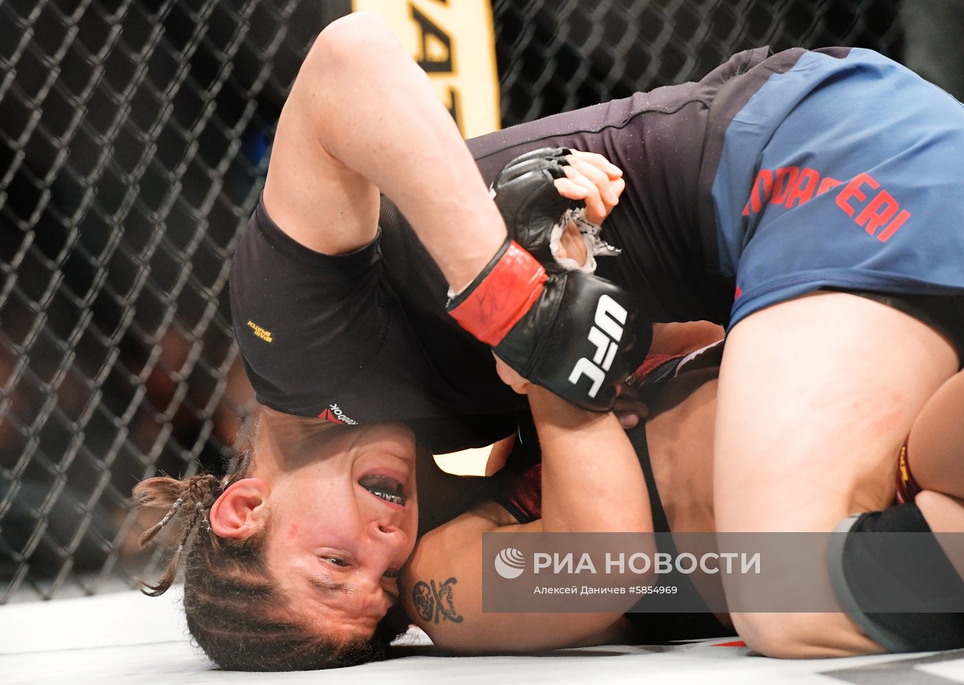 UFC Fight Night в Санкт-Петербурге
