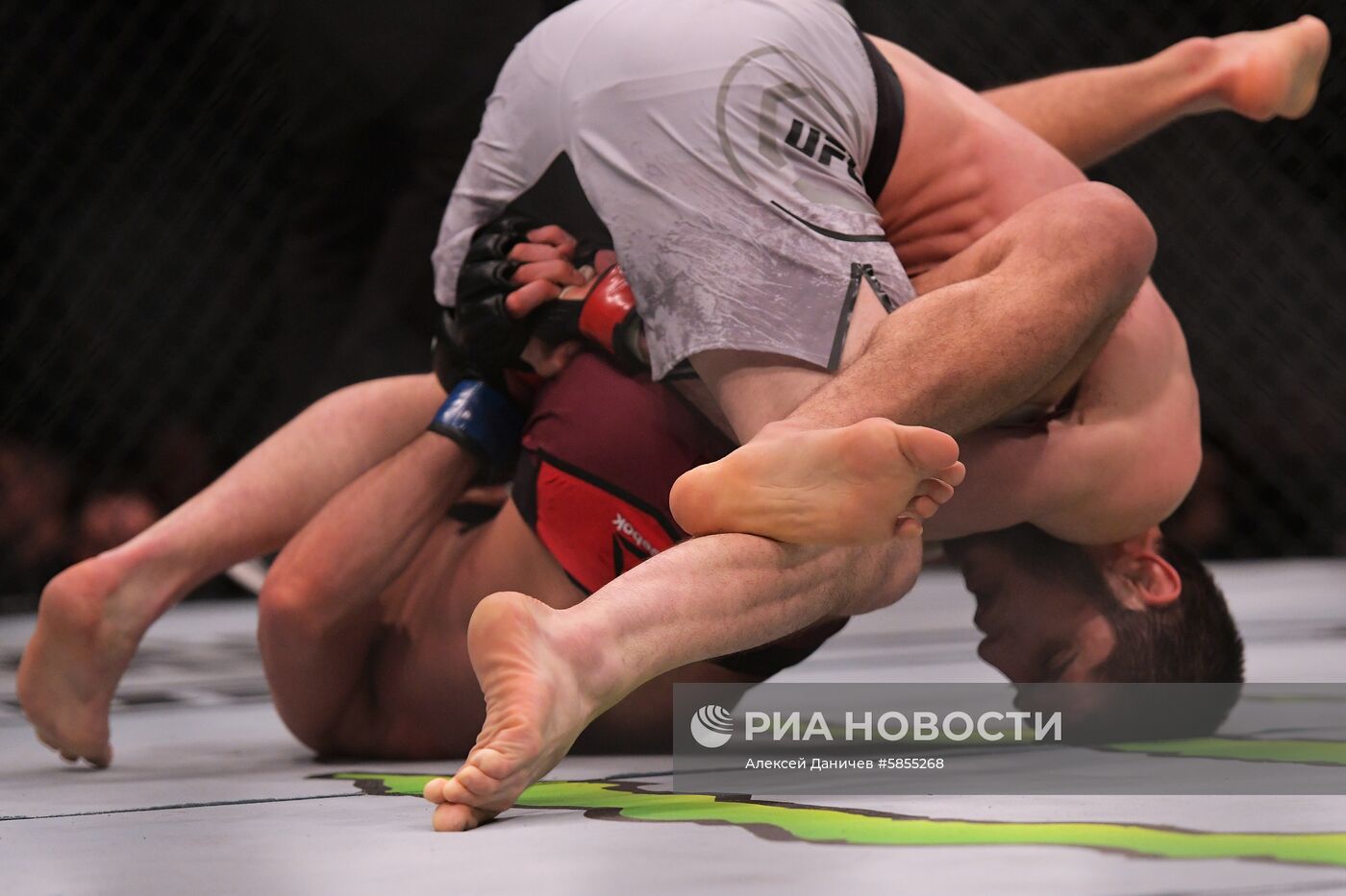 UFC Fight Night в Санкт-Петербурге