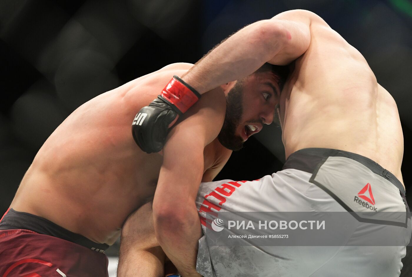 UFC Fight Night в Санкт-Петербурге