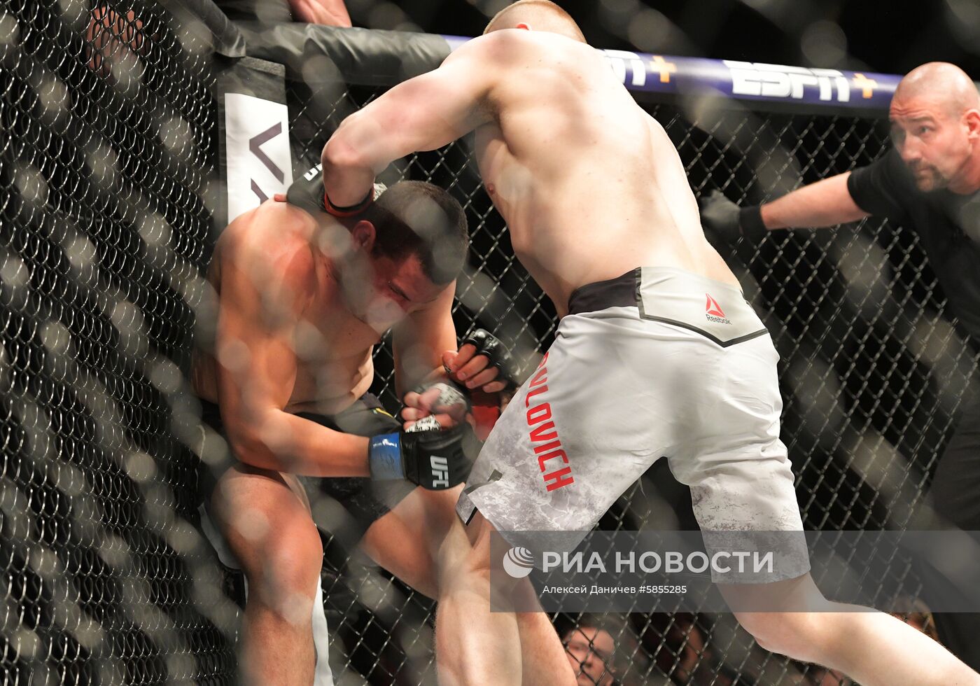 UFC Fight Night в Санкт-Петербурге