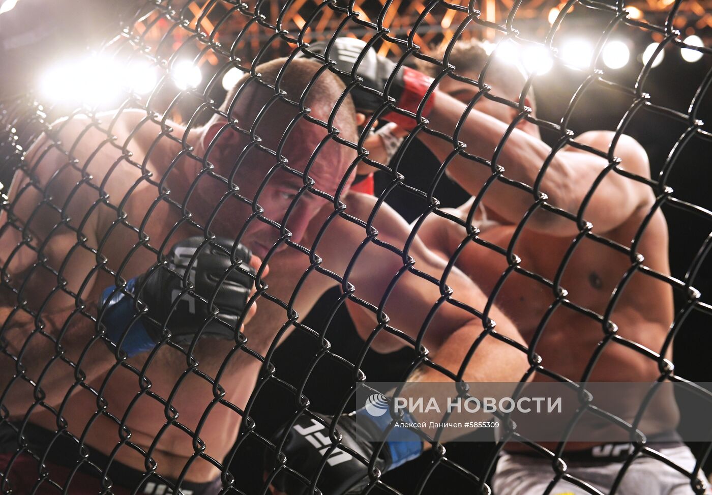 UFC Fight Night в Санкт-Петербурге