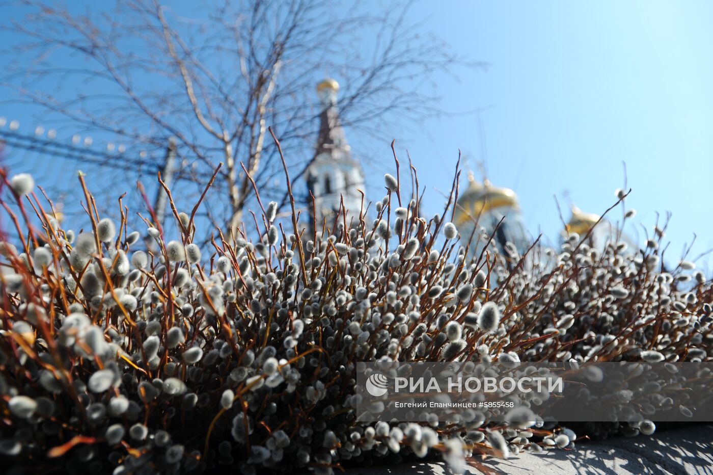 Вербное воскресенье 