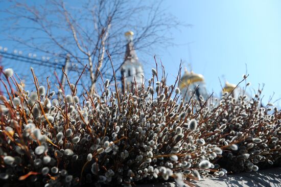 Вербное воскресенье 