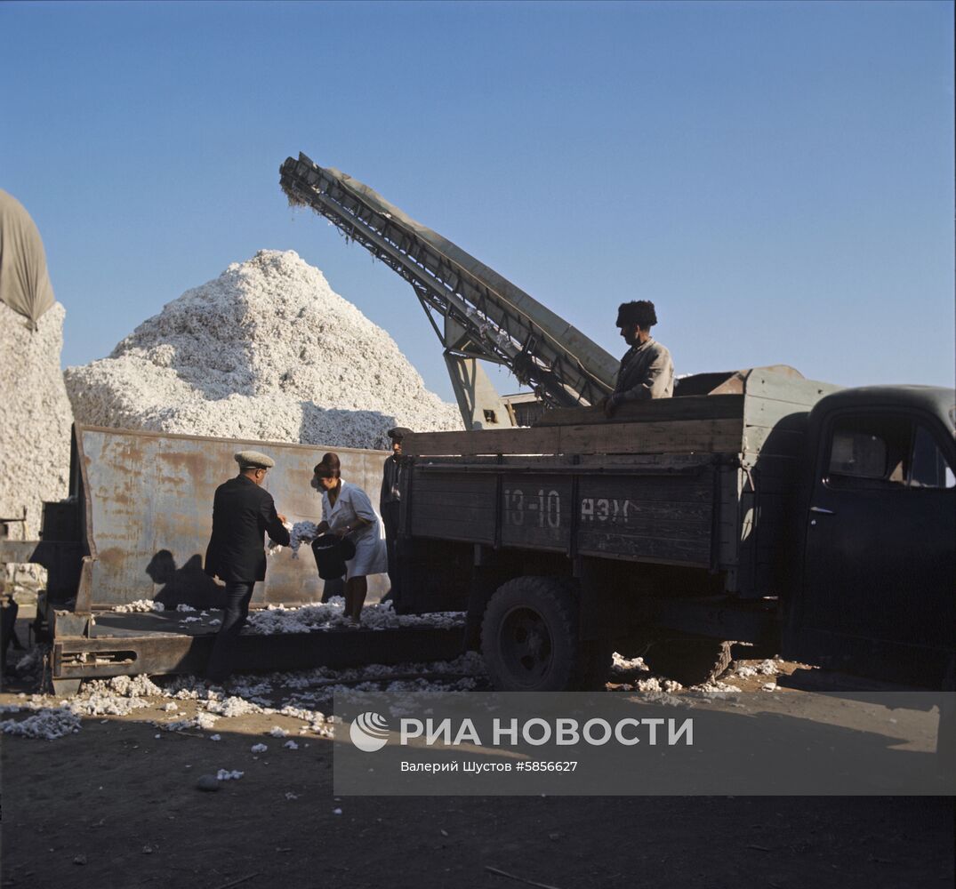 Хлопкоочистительный завод в Азербайджане | РИА Новости Медиабанк