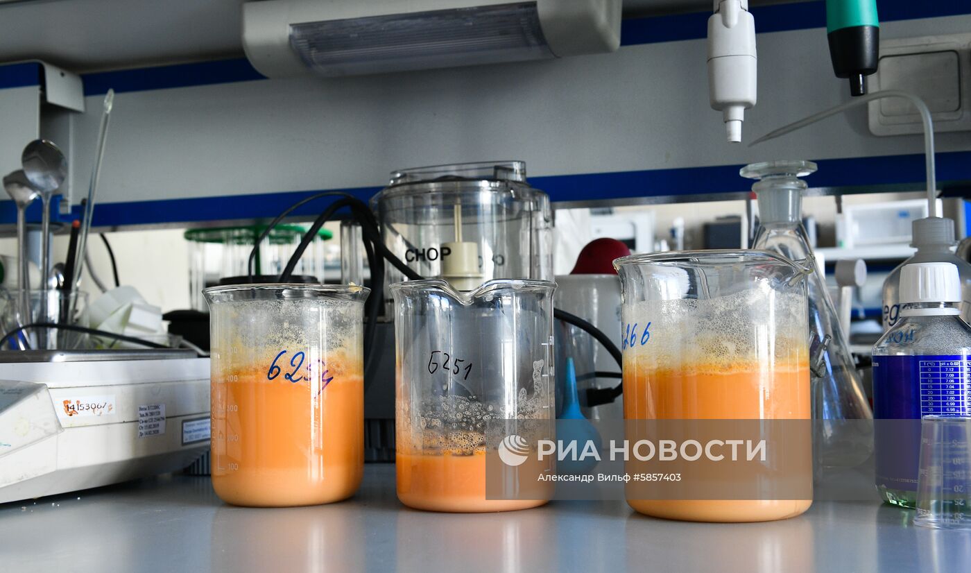 Проверка качества продуктов в лаборатории Роспотребнадзора