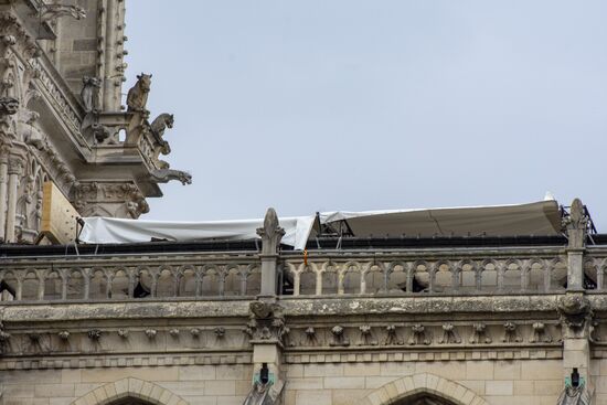 Установка защитного покрытия над собором Парижской Богоматери