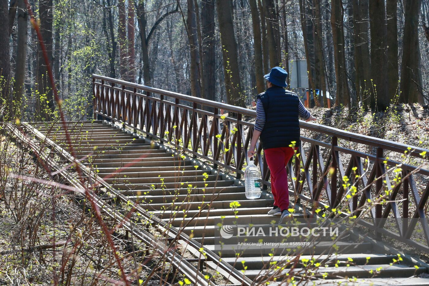 Родник "Царевна-Лебедь" в парке "Покровское-Стрешнево"