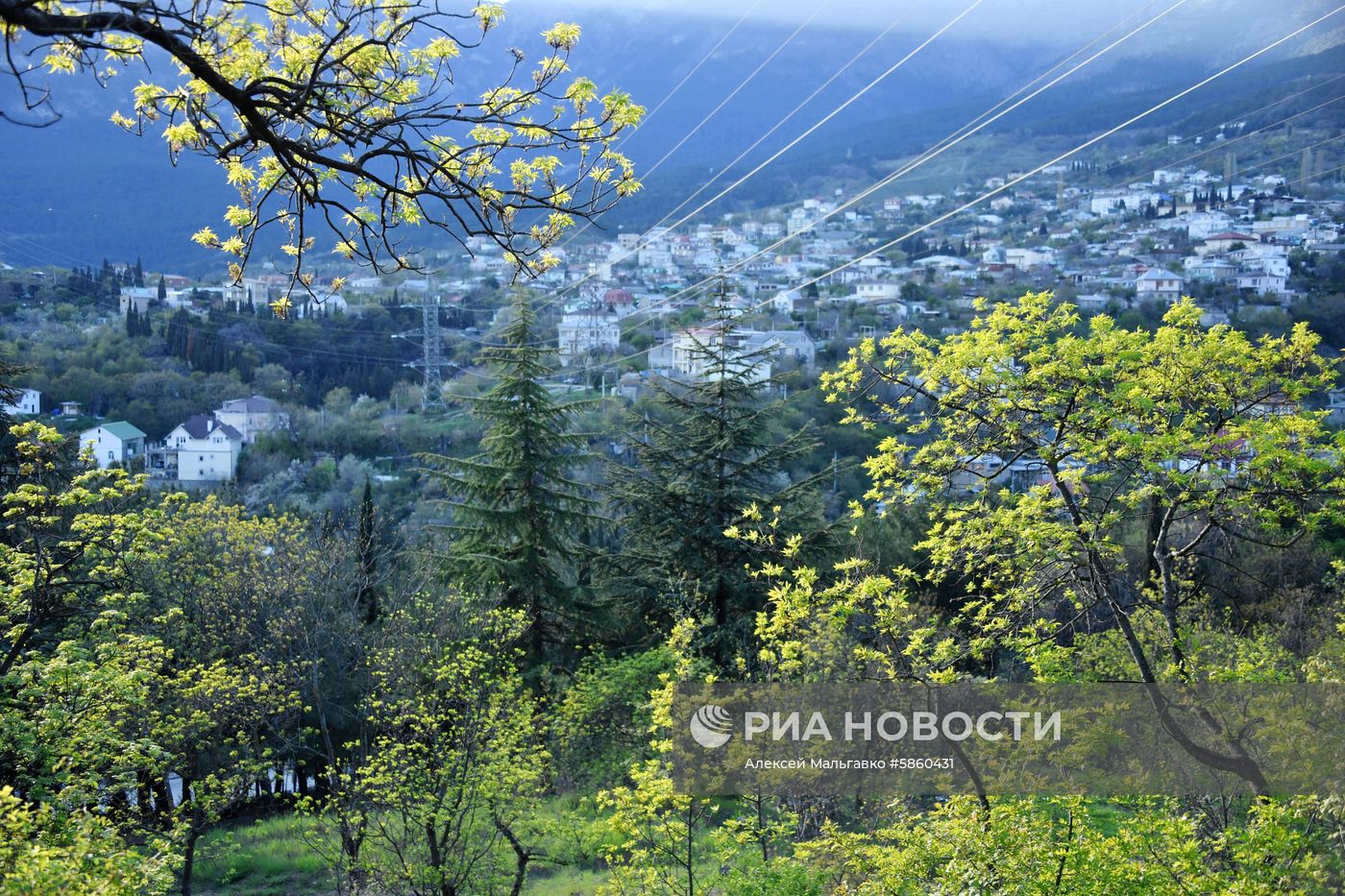 Регионы России. Крым