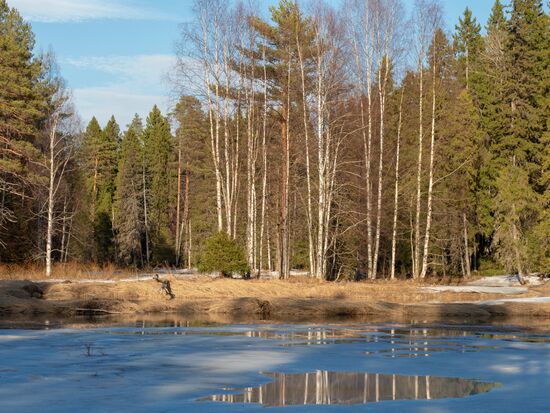 Весна в Карелии