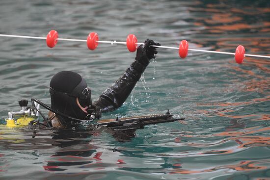 Новороссийская военно-морская база