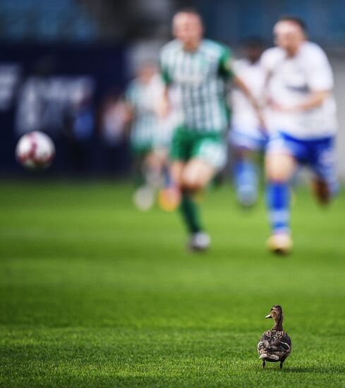 Футбол. РПЛ. Матч "Динамо" - "Ахмат"