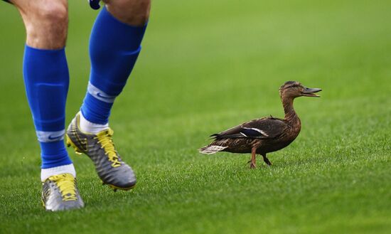 Футбол. РПЛ. Матч "Динамо" - "Ахмат"