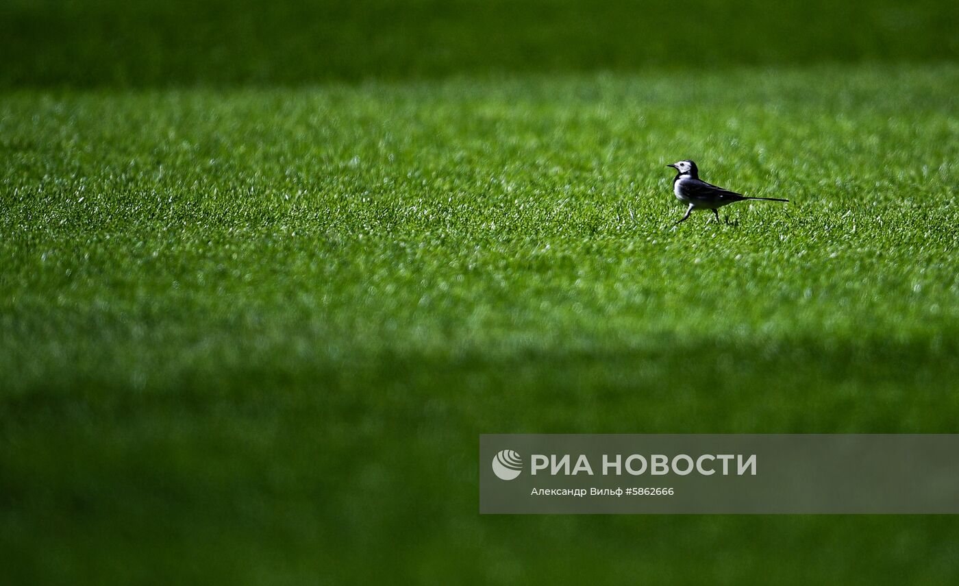 Футбол. РПЛ. Матч "Локомотив" - "Енисей"