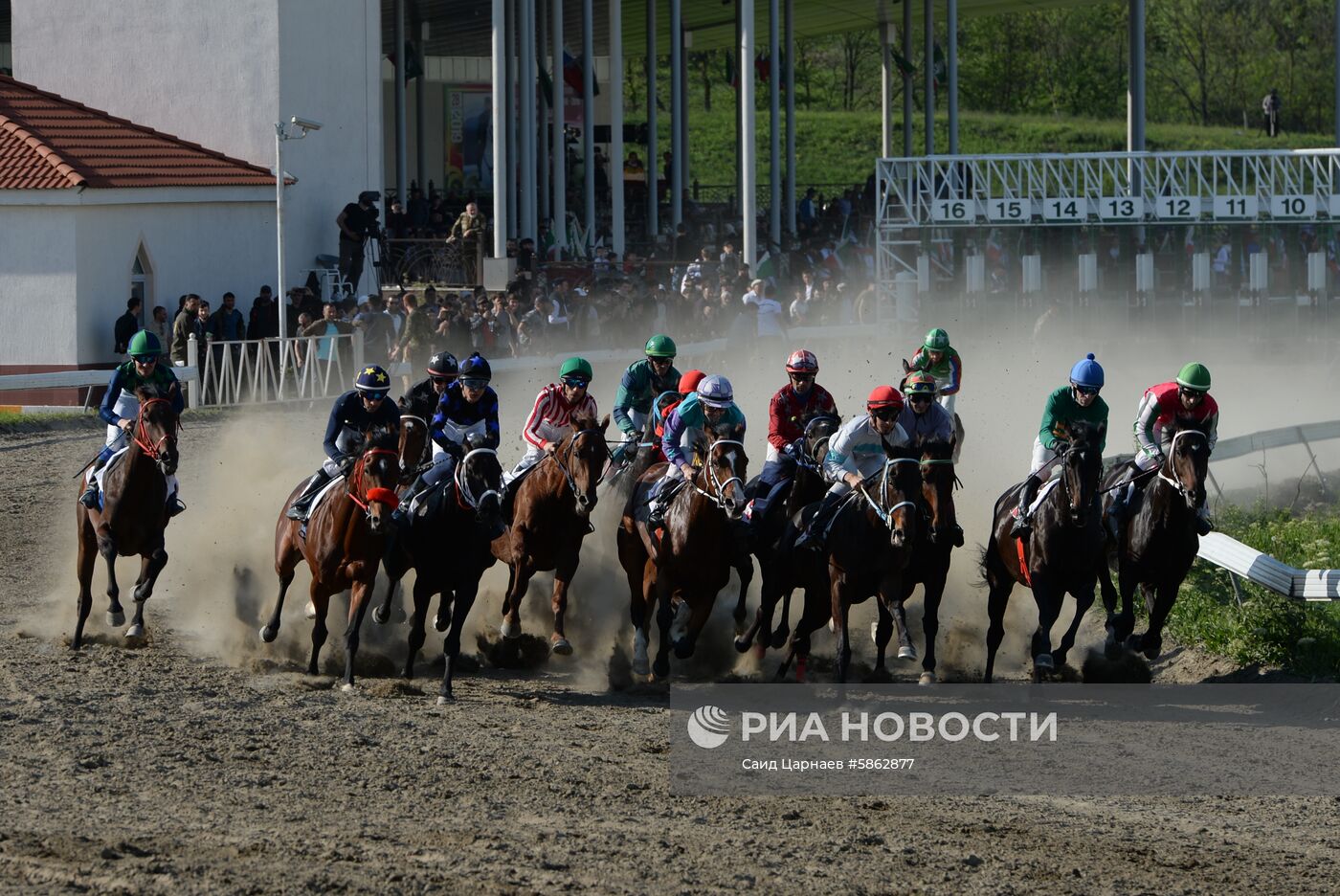 Открытие скакового сезона-2019 в Чеченской Республике