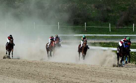 Открытие скакового сезона-2019 в Чеченской Республике