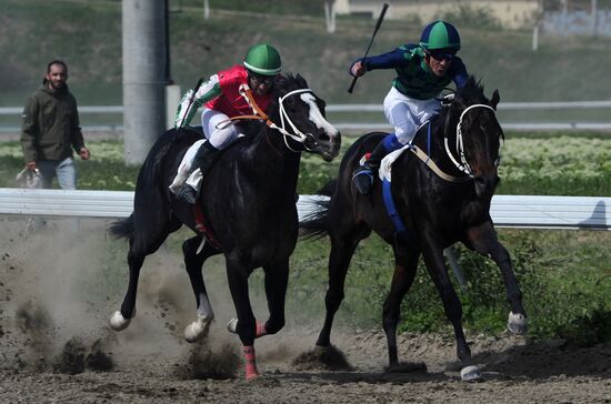 Открытие скакового сезона-2019 в Чеченской Республике