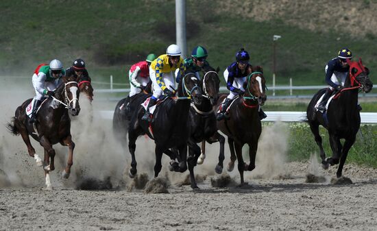 Открытие скакового сезона-2019 в Чеченской Республике