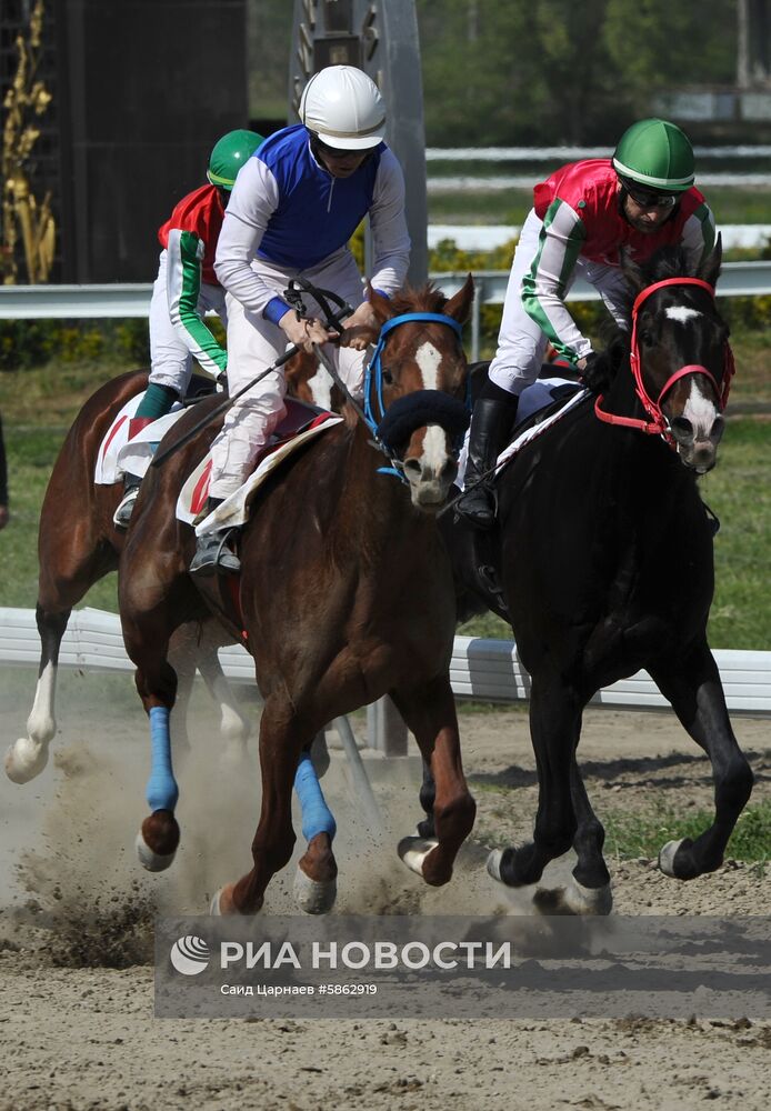 Открытие скакового сезона-2019 в Чеченской Республике