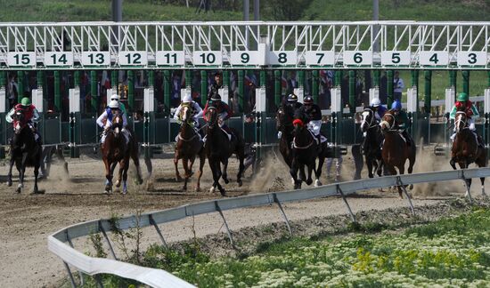 Открытие скакового сезона-2019 в Чеченской Республике