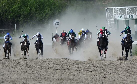 Открытие скакового сезона-2019 в Чеченской Республике