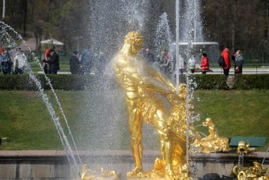 В Петергофе начался сезон фонтанов