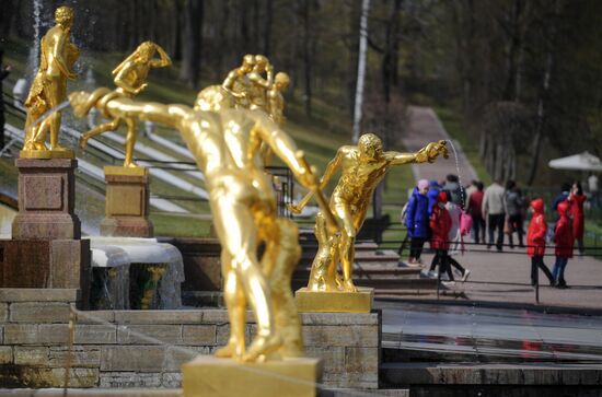 В Петергофе начался сезон фонтанов