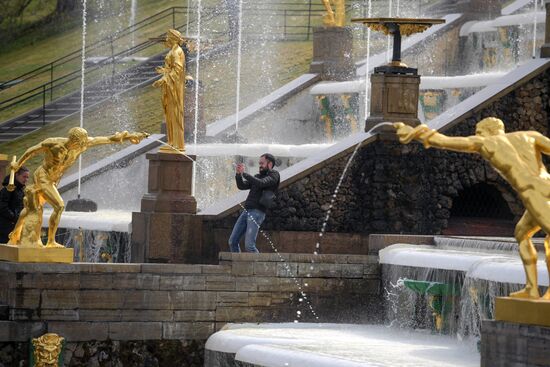 В Петергофе начался сезон фонтанов