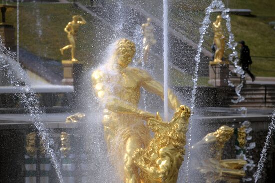 В Петергофе начался сезон фонтанов