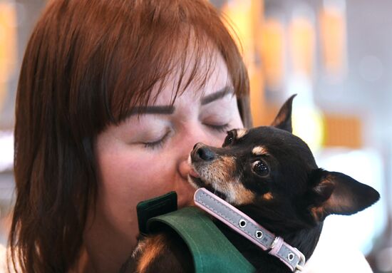 Акция "Обними друга перед полетом" в Домодедово