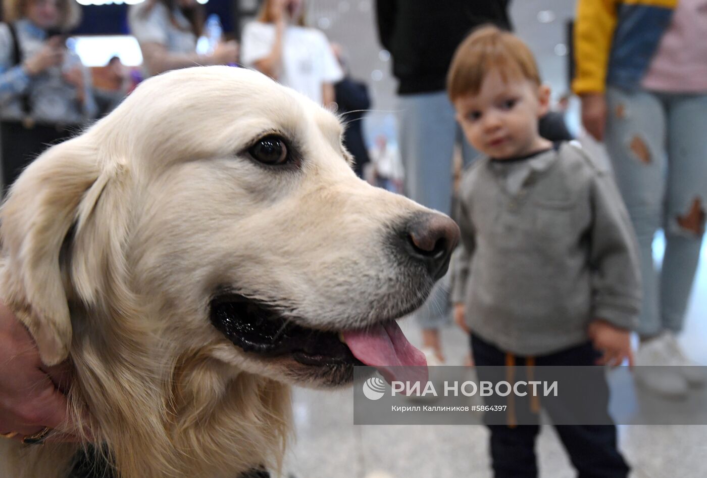 Акция "Обними друга перед полетом" в Домодедово