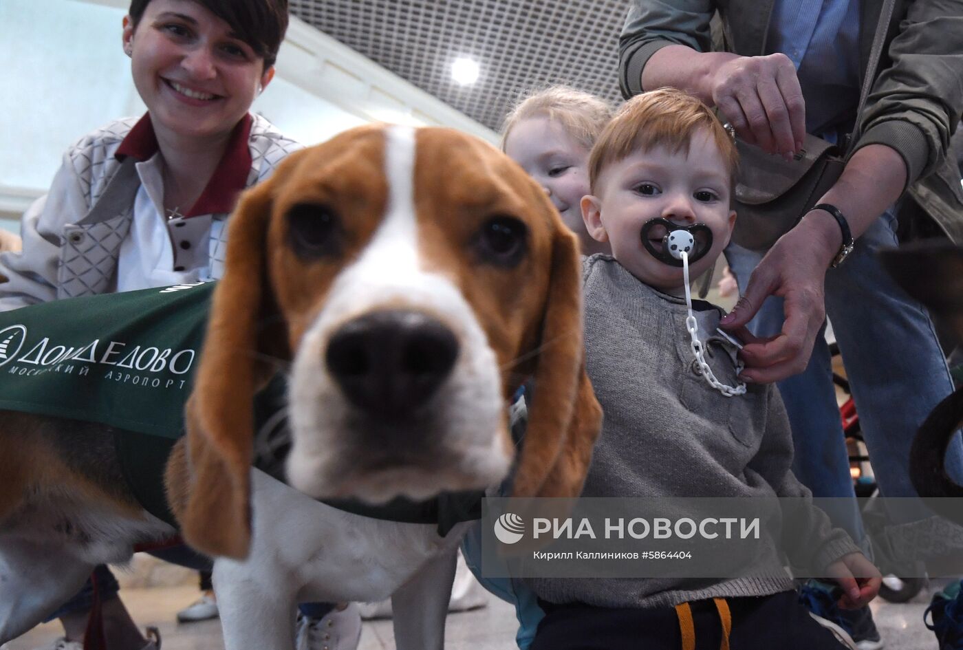 Акция "Обними друга перед полетом" в Домодедово