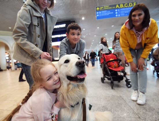 Акция "Обними друга перед полетом" в Домодедово
