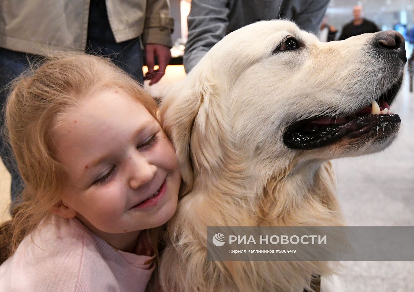 Акция "Обними друга перед полетом" в Домодедово
