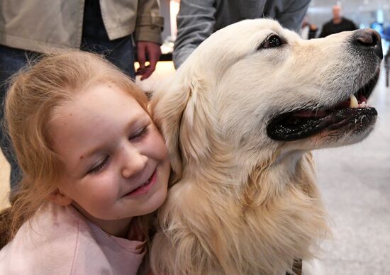 Акция "Обними друга перед полетом" в Домодедово